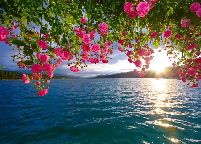 Parkhotel Poertschach - Hotelresort Mit Insellage Am Woerthersee Hotel Portschach am Woerthersee